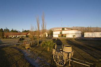BODEGA VISTA PANORAMICA.jpg